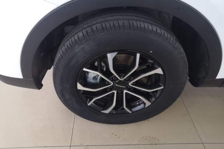 Used Haval H6 2023 National Trend Edition 1.5T Automatic Urban Version
