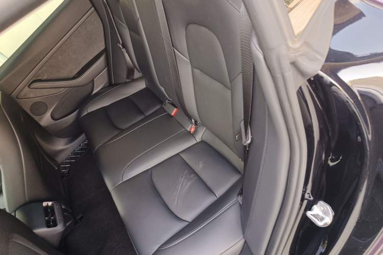 Used Tesla Model 3 2022 Rear-Wheel-Drive Version
