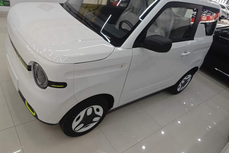 Used  Panda 2025 210 km – Yuanqi Bear