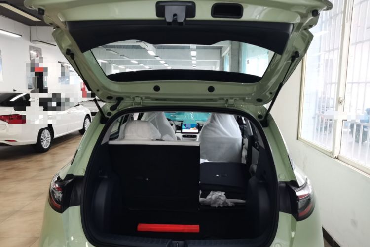 Used  Geome 2025 310km Youth Edition
