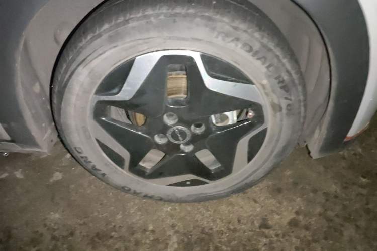 Used BYD Dolphin 2021 405 km Free Version
