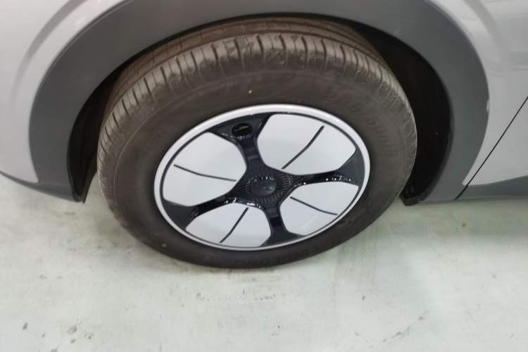 Used  Geome 2025 310km Youth Edition