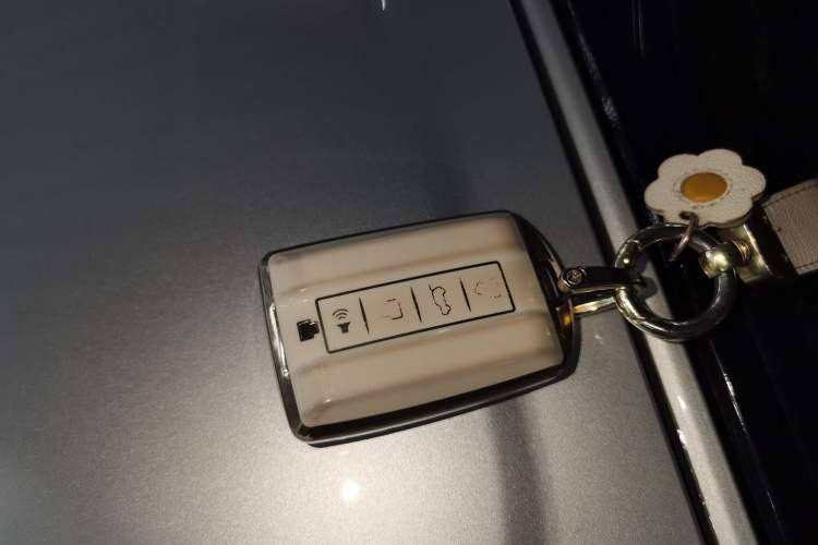 Used Cyberspace Tank 300 2021 2.0T Cyber Tank