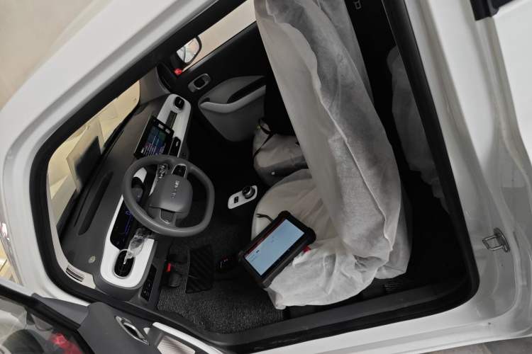 Used  Panda 2025 210 km – Yuanqi Bear
