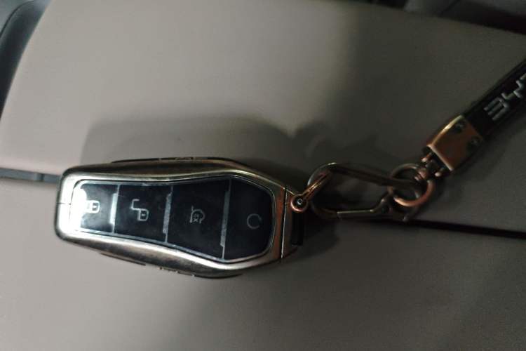 Used BYD Tang New Energy 2024 DM-i Glory Edition 112KM Prestige Model