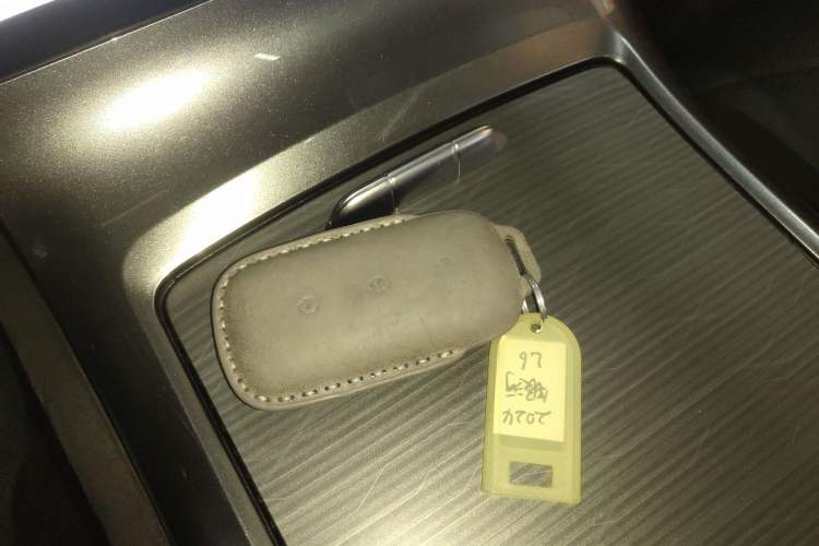 Used  L6 2024 60km PLUS Dragon Edition