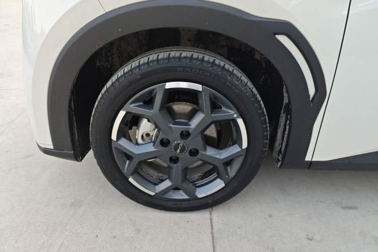 Used BYD Seagull 2025 305 km Free Version
