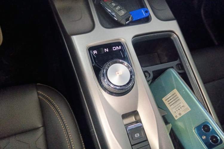 Used Haval DARGO 2024 2.0T DCT Chinese Rural Dog Edition
