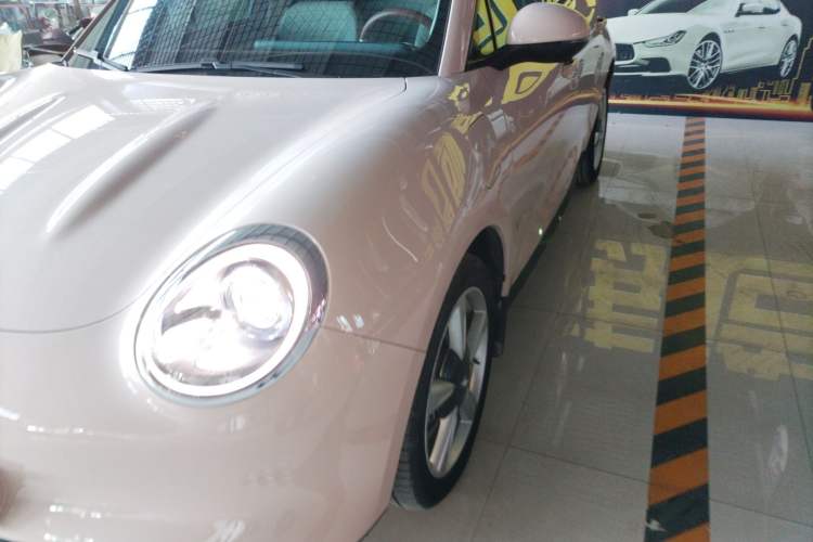 Used ORA Good Cat 2023 401 km Standard Range Luxury Version Lithium Iron Phosphate
