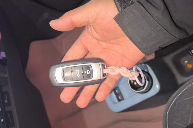 Used  Panda 2024 Panda Mini 200km Endurance Bear