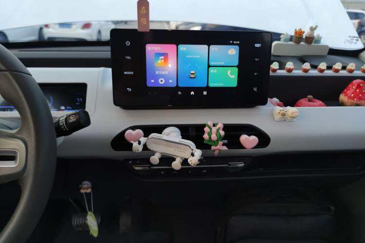 Used  Panda 2023 Panda Mini 200km Endurance Bear
