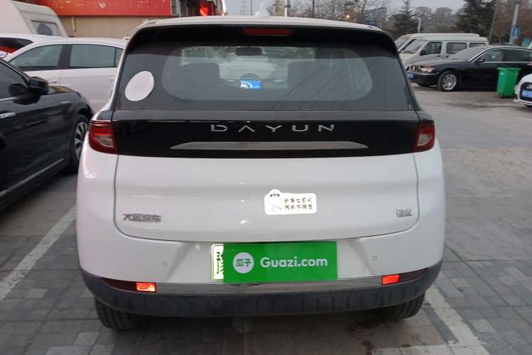 Used Dayun Yuehu 2022 300 Standard Edition
