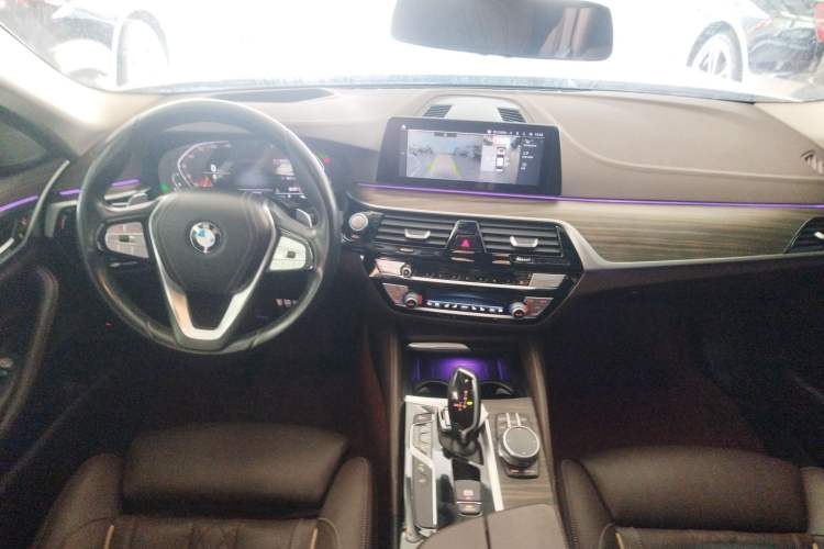 Used BMW 5 Series 2020 530Li Luxury Edition Premium Package