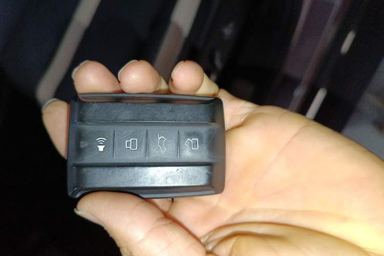 Used Tank 300 2021 City Edition 2.0T—Truly Stylish
