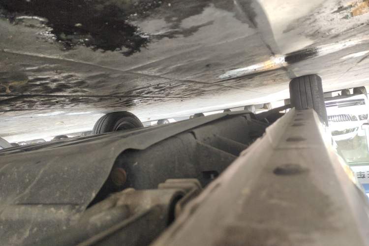 Used  Panda 2023 Panda Mini 200km Endurance Bear
