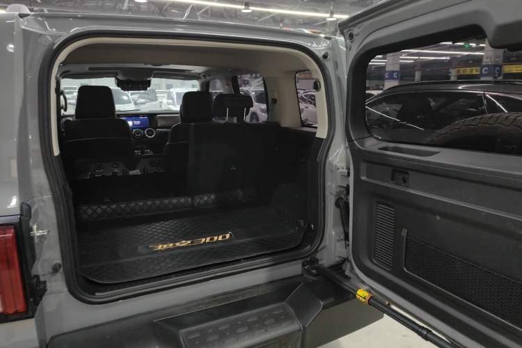 Used Tank 300 2021 City Edition 2.0T—Truly Stylish