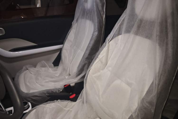 Used  Panda 2025 210 km – Yuanqi Bear
