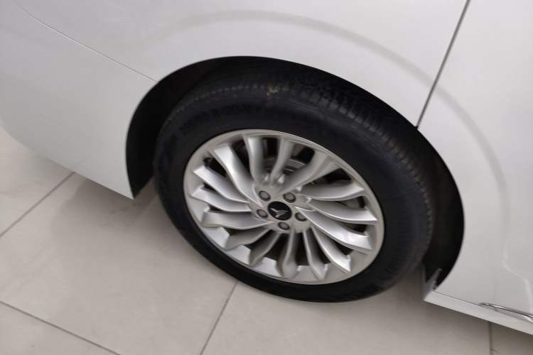 Used VOYAH Dream 2024 PHEV Extended-Range Premium Edition
