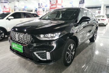 Used Wey VV5 2021 1.5T Two-Wheel Drive Color Pioneer