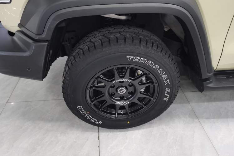 Used Tank 300 2025 2.0T Conqueror