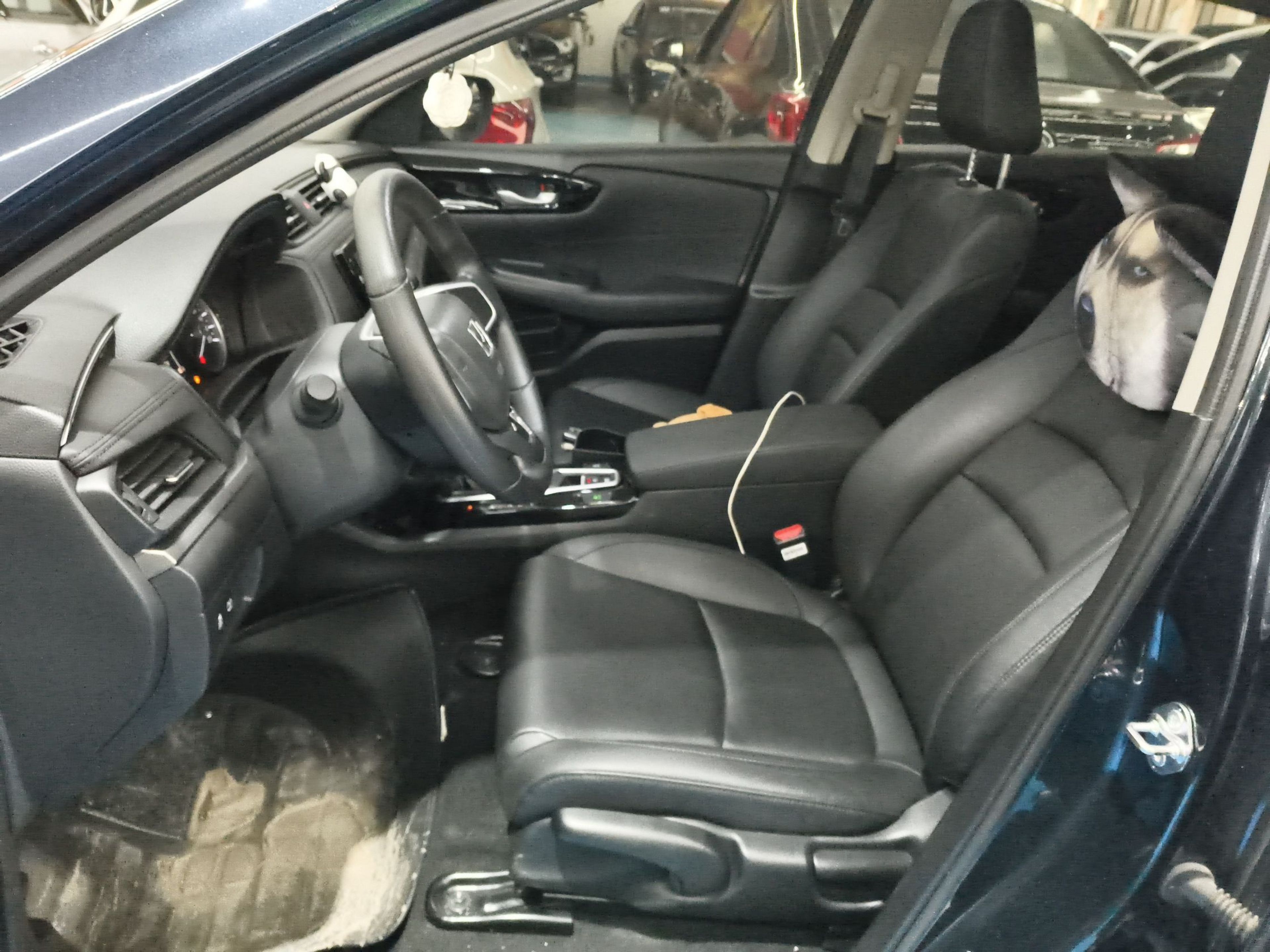 Переднее сиденье в автомобиле