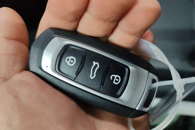 Used  Panda 2024 Panda Mini 200km Endurance Bear
