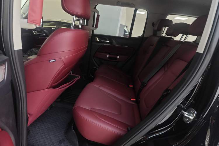 Used Tank 300 2025 2.0T Conqueror