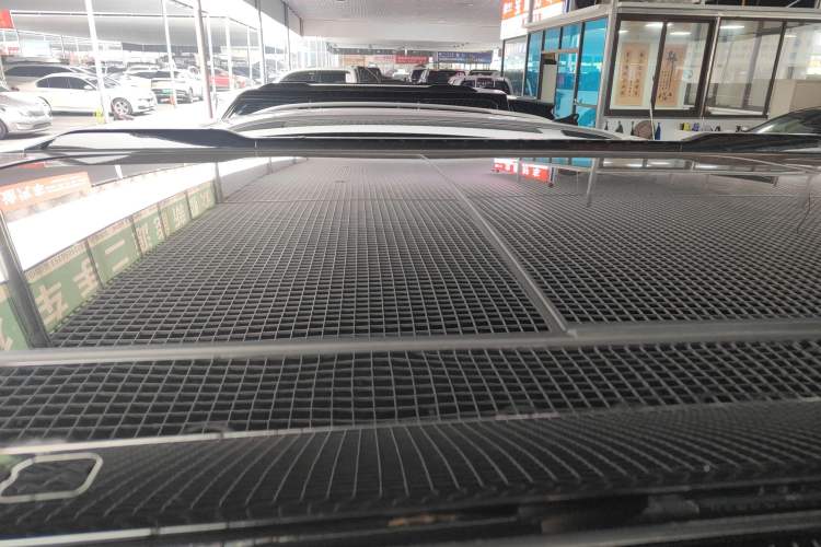 Used  03T 2024 520km Two-Wheel Drive Long-Range Version
