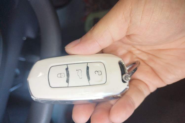 Used  Panda 2023 Panda Mini 200km Dynamic Bear
