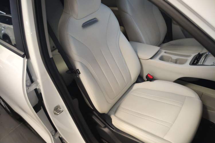 Used  Geome 2025 310km Youth Edition
