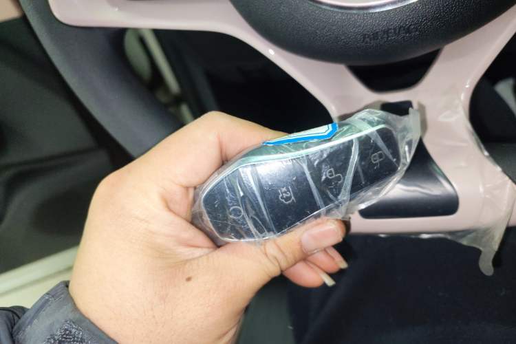 Used BYD Seagull 2025 305km Active Version
