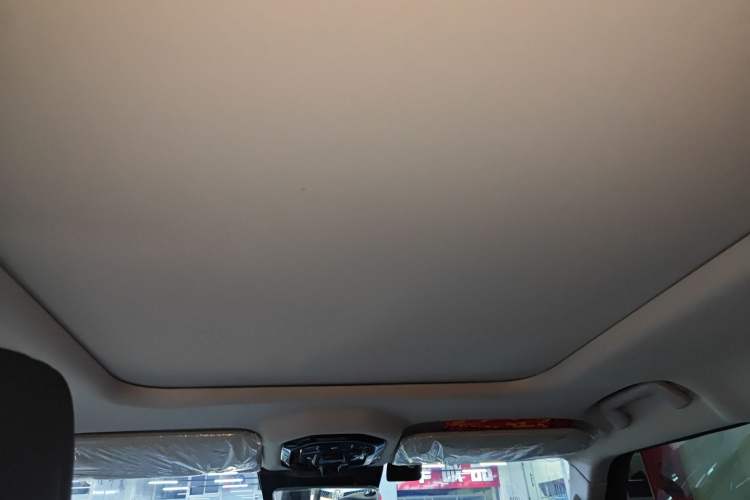 Used  Shanhai T2 2024 C-DM 129KM Linye Edition