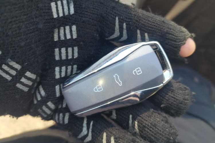 Used  3 2024 Beloved Edition 505 km Air