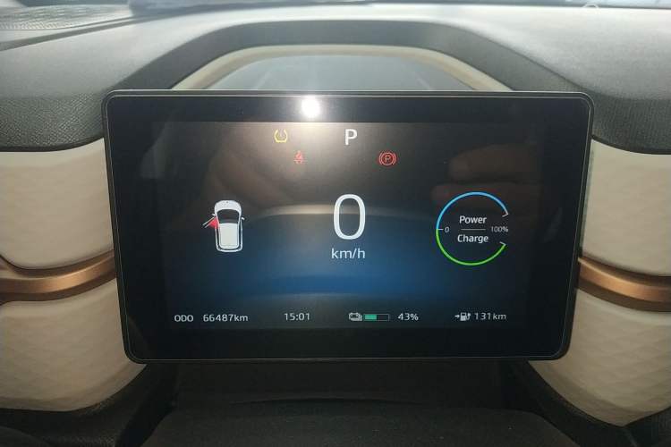 Used SOL E10X 2022 Flower Fairy Style Baby's Breath
