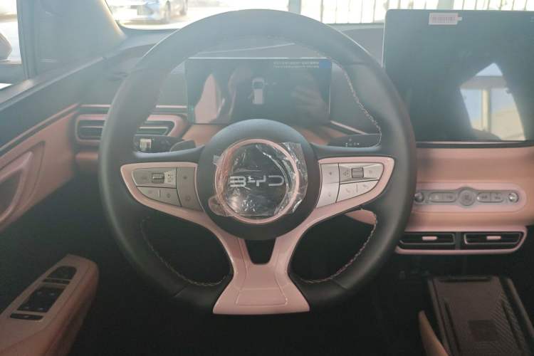 Used BYD Seagull 2025 Smart Drive Version 305 km Freedom Edition
