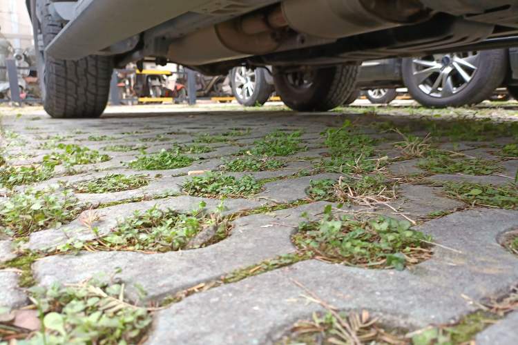 Used Tank 300 2021 City Edition 2.0T—Truly Stylish