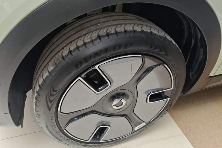 Used  #1 2024 Premium Edition