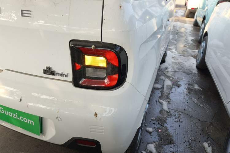 Used  Panda 2024 Panda Mini 200km Endurance Bear
