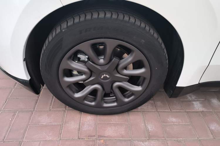 Used Wuling Xingguang 2025 70km Smart Standard Version
