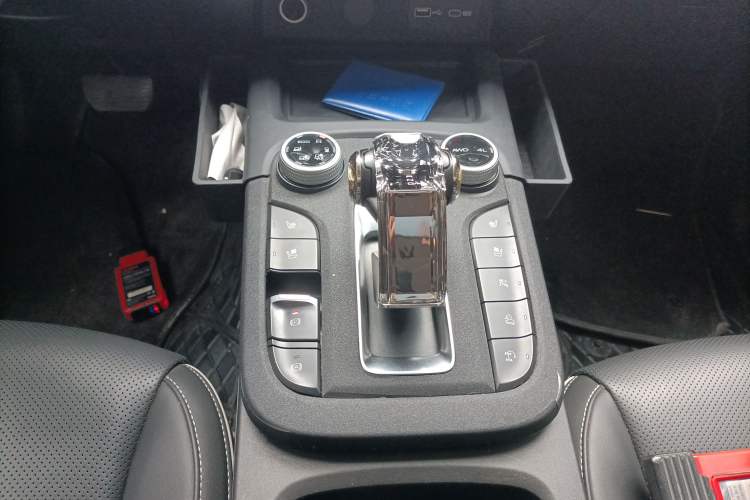 Used Tank 300 2024 2.0T Crosser
