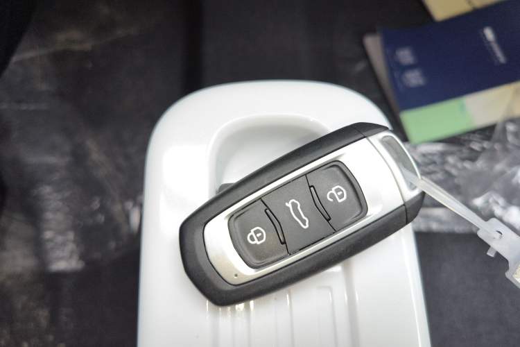 Used  Panda 2025 210 km – Yuanqi Bear
