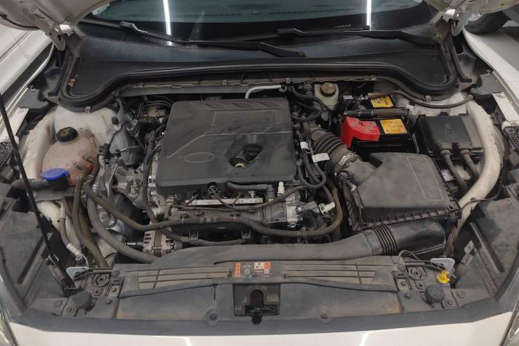 Used Ford Focus 2021 Sedan EcoBoost 180 Automatic Trendy Model
