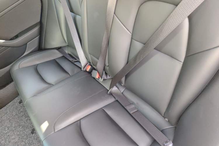 Used Tesla Model 3 2020 Standard Range Rear-Wheel Drive Upgraded Version
