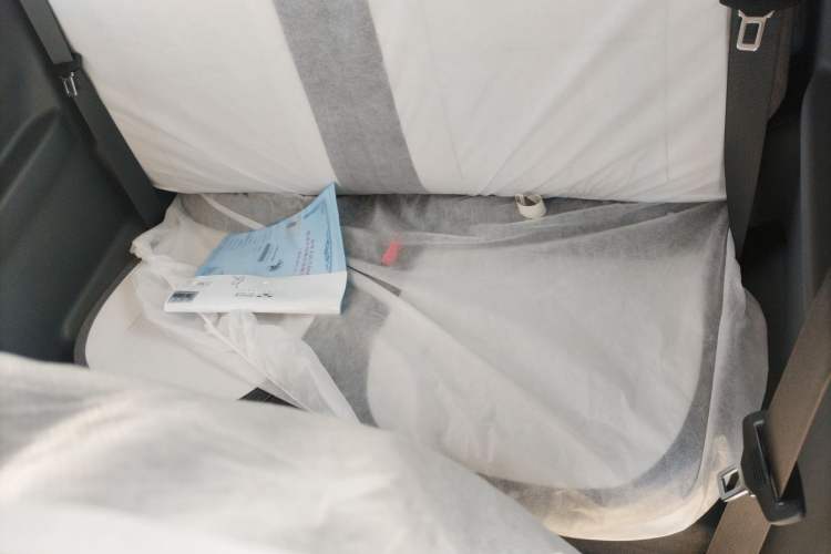 Used  Panda 2025 210 km – Yuanqi Bear
