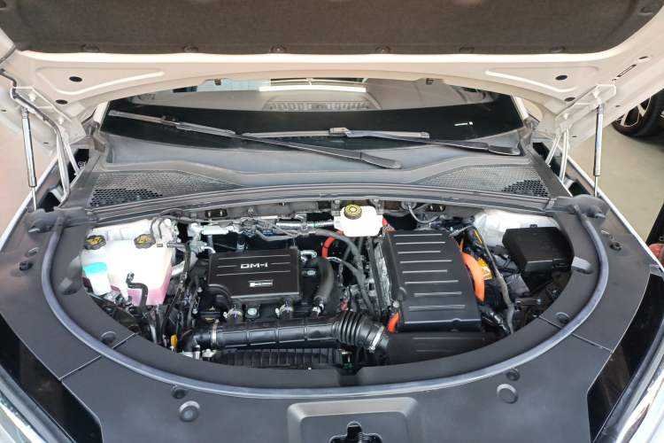 Used BYD Song PLUS New Energy 2025 DM-i 160KM Flagship Model