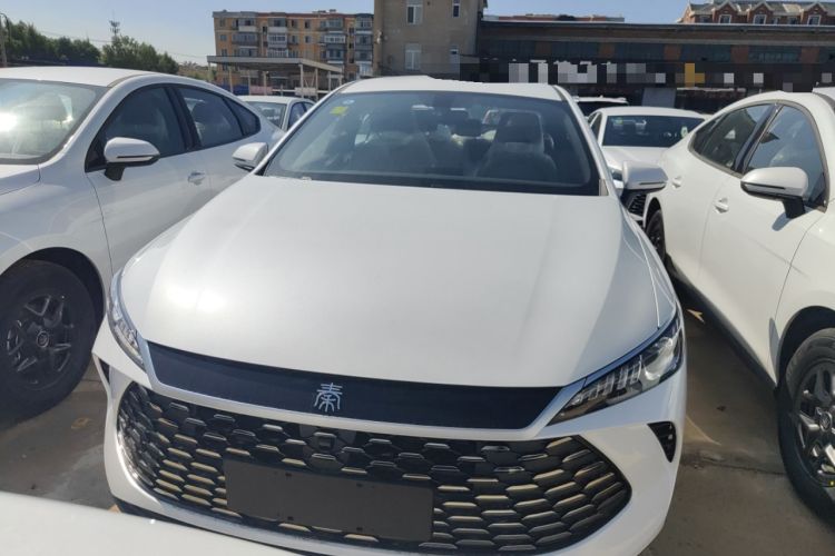 Used BYD Qin PLUS 2025 DM-i Smart Drive 55KM Leading Model
