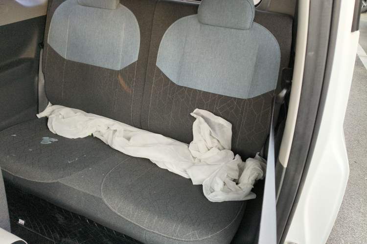 Used  Panda 2024 Panda Mini 200km Endurance Bear