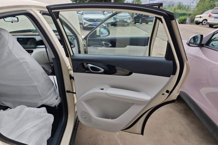 Used  Geome 2025 310km Youth Edition
