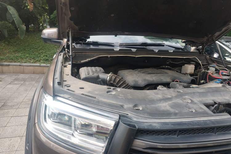 Used Great Wall Poer 2019 2.0T Automatic Gasoline 4x4 Comfort Edition GW4C20B
