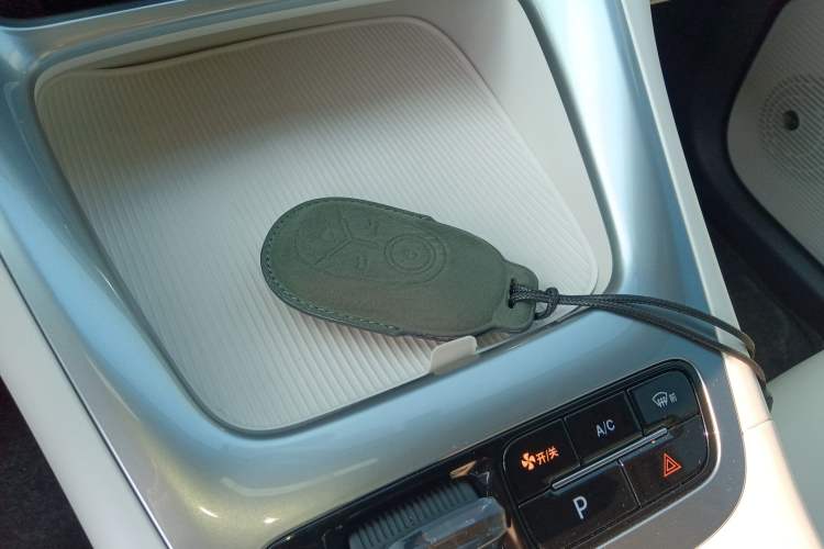 Used  Geome 2025 410 km Free Version